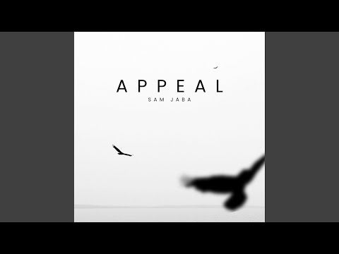 Appeal