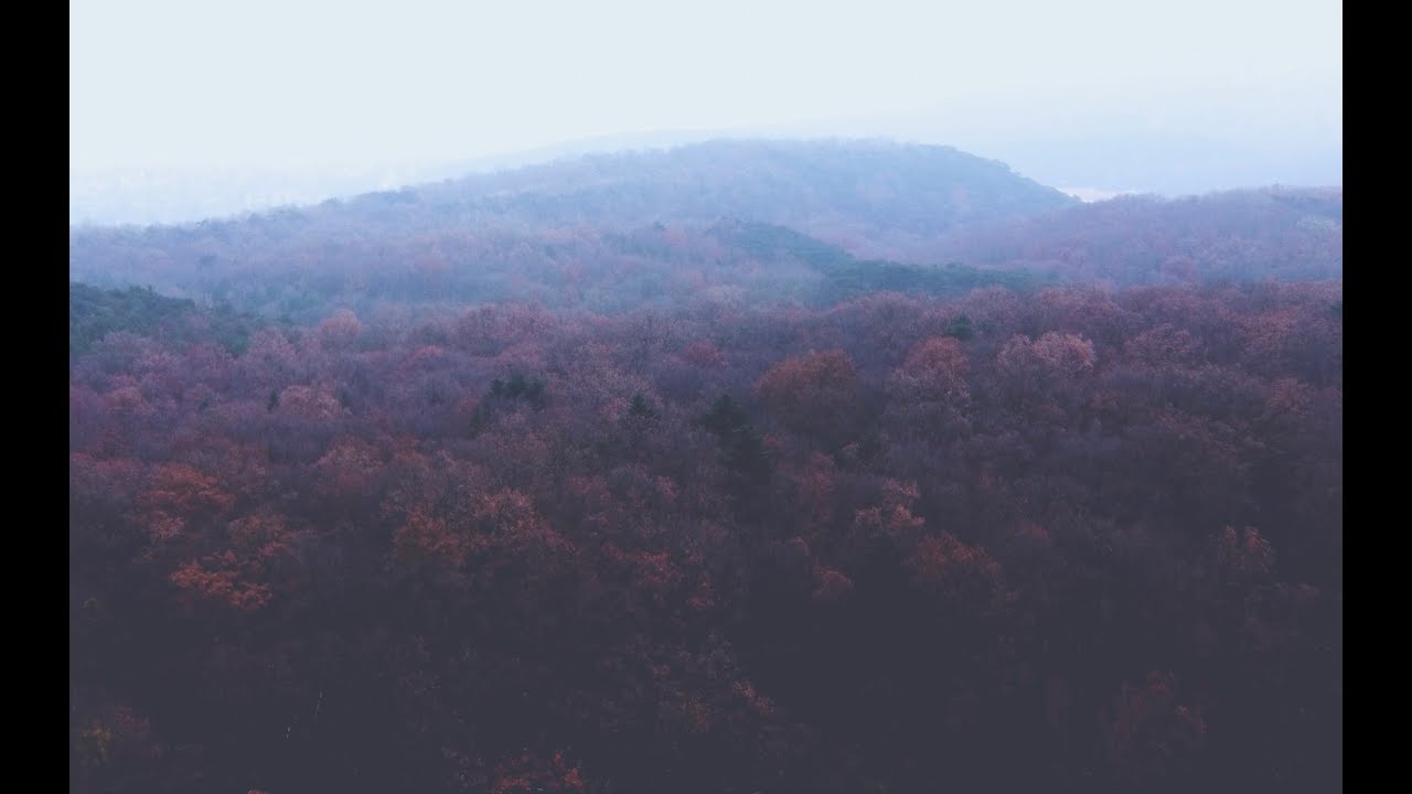 SAEDI // GOLD OF THE DESERT (Official Music Video)