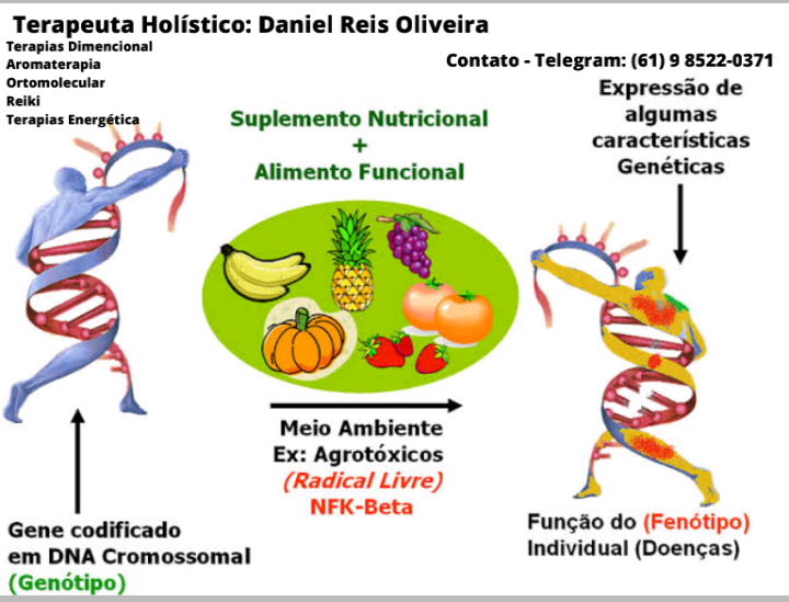Plano Alimentar Ortomolecular Sanguíneo Tipo O - Brand Valparaíso | Hotmart