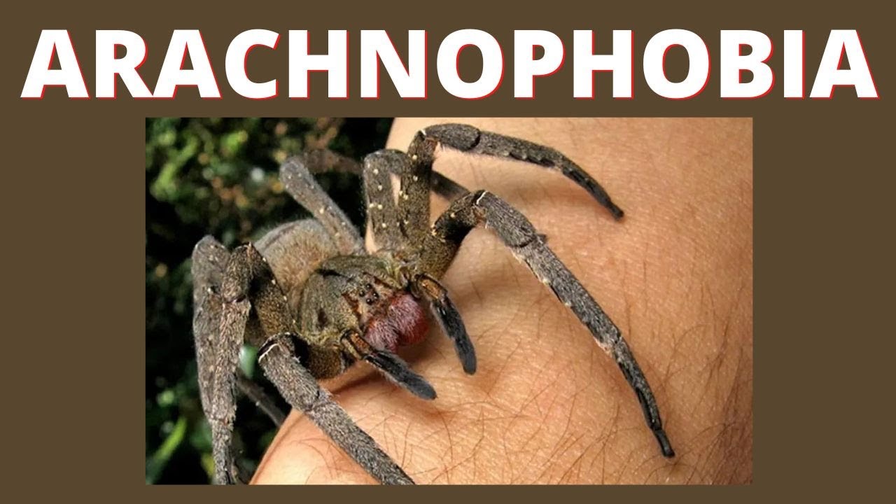 ARACHNOPHOBIA