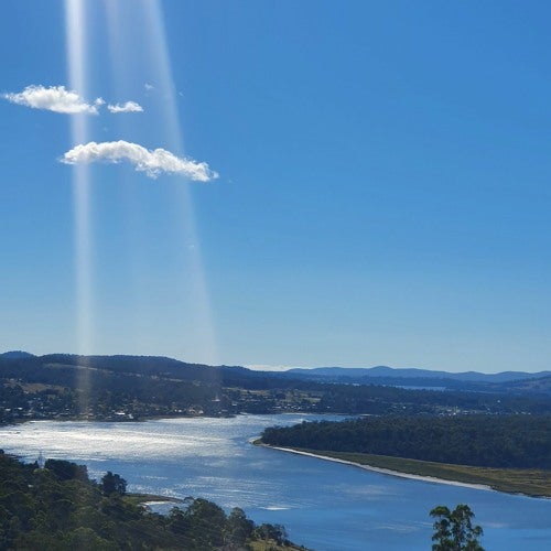 🌿 Ground, Release, Protect Meditation