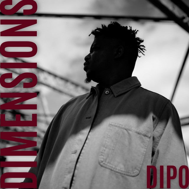 New Release: Not Ordinary - Dipo, Nichelle Bernard