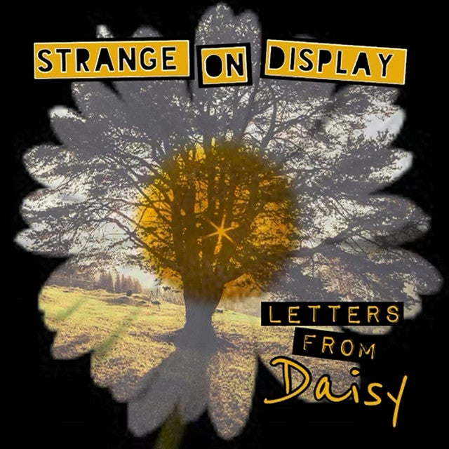 Letters From Daisy: Full Album