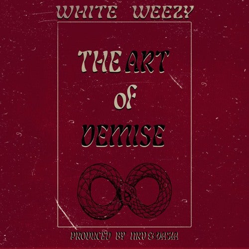 The ART OF DEMISE  📀