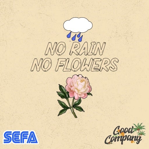 No Rain No Flowers (Full Album)