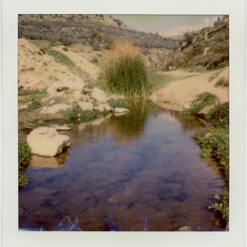 Ch[a]rita SOUNDWALK: From inside the earth where she dwells - Jumana Emil Abboud