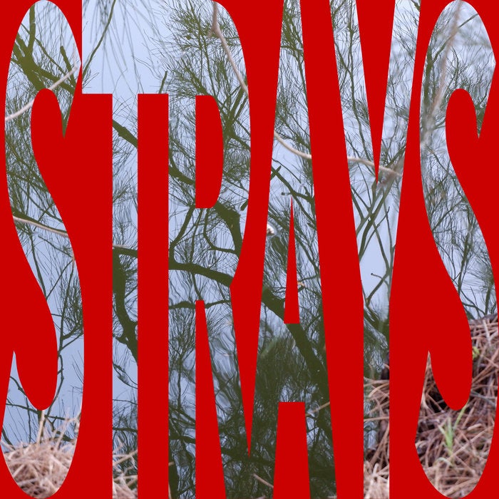 Second Album - STRAYS