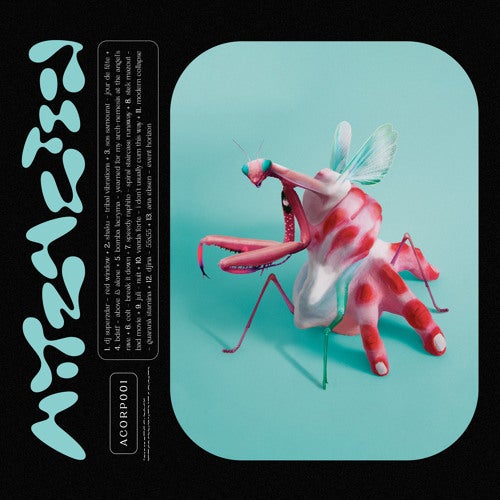 Vanda Forte - I Don't Cum Usually This Way [Attraction 𝒄𝒐𝒓𝒑]