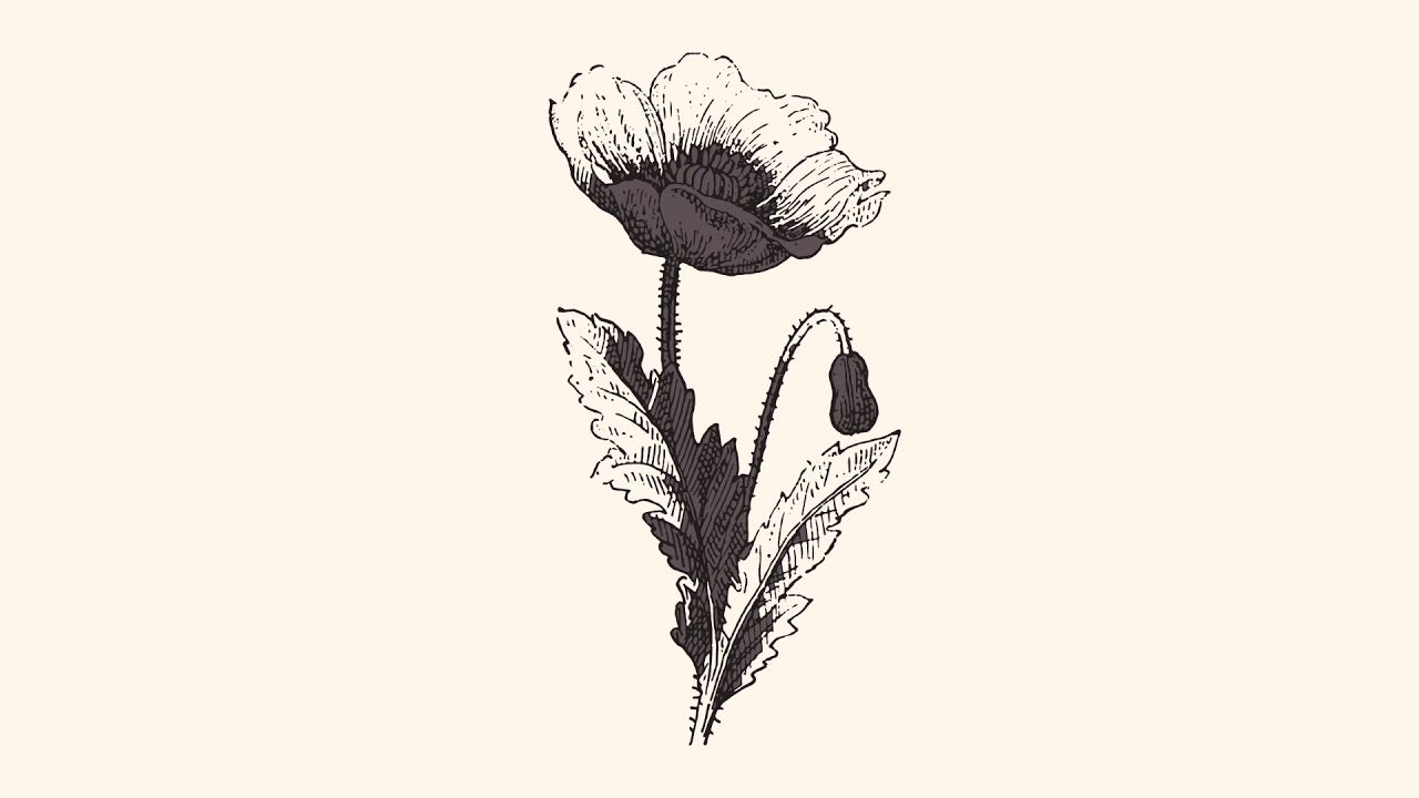 para pecundang dunia