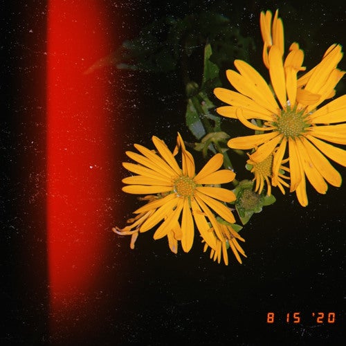 Night Terrors (prod. Ocean Beats)