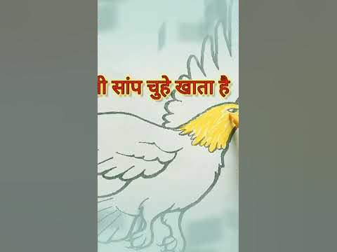 Eagle बाज एक शिकारी पक्षी है बाज की कुछ रोमांचक जानकारियां 🦅