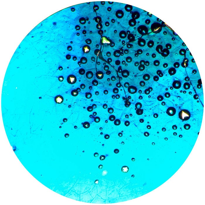 Look up in the sky 2019