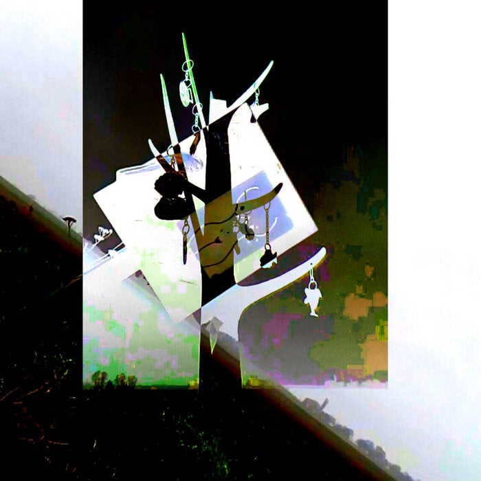 My Goldfish Has A Boner / Cookie Monster Fucked My Wife, by The Contradictory Term