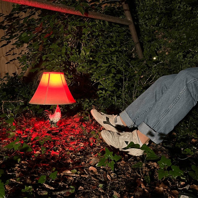 Brightback Streaming