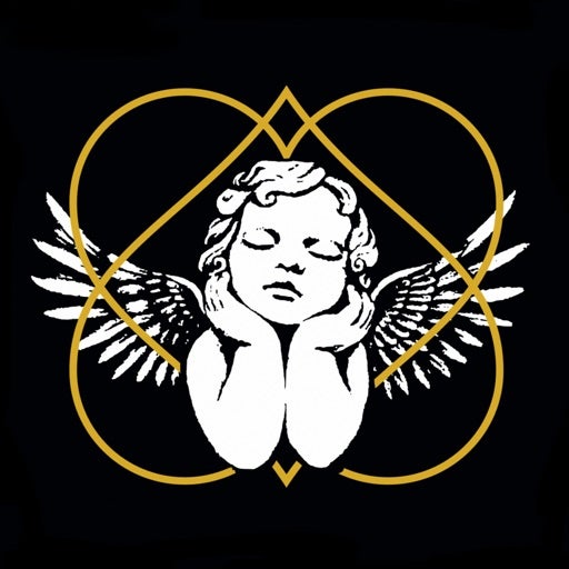 Download the Iphone App