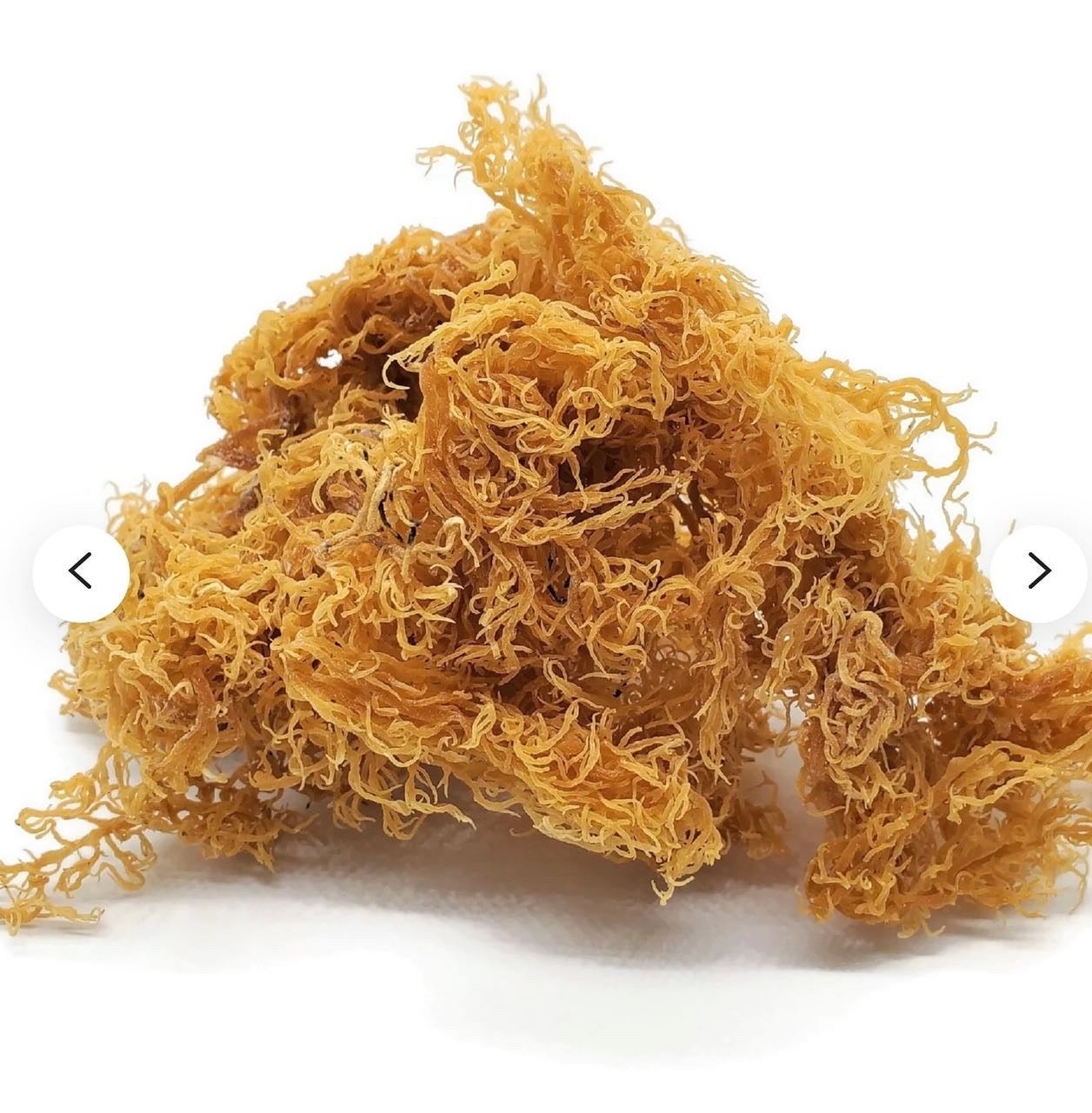 Wildcrafted Golden Seamoss