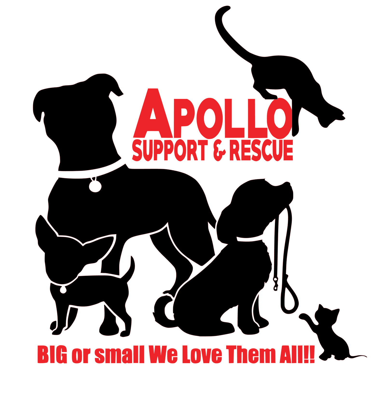 Credit/Debit Card or Paypal